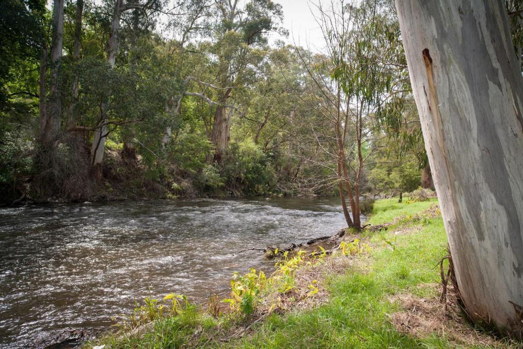 Hotel Oscar'S On The Yarra Warburton Zimmer foto